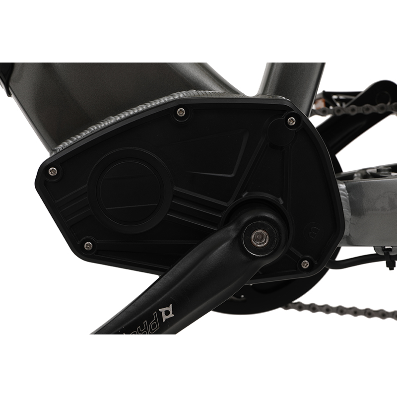 Sobowo PowerGilde Fat Electric bike Controller
