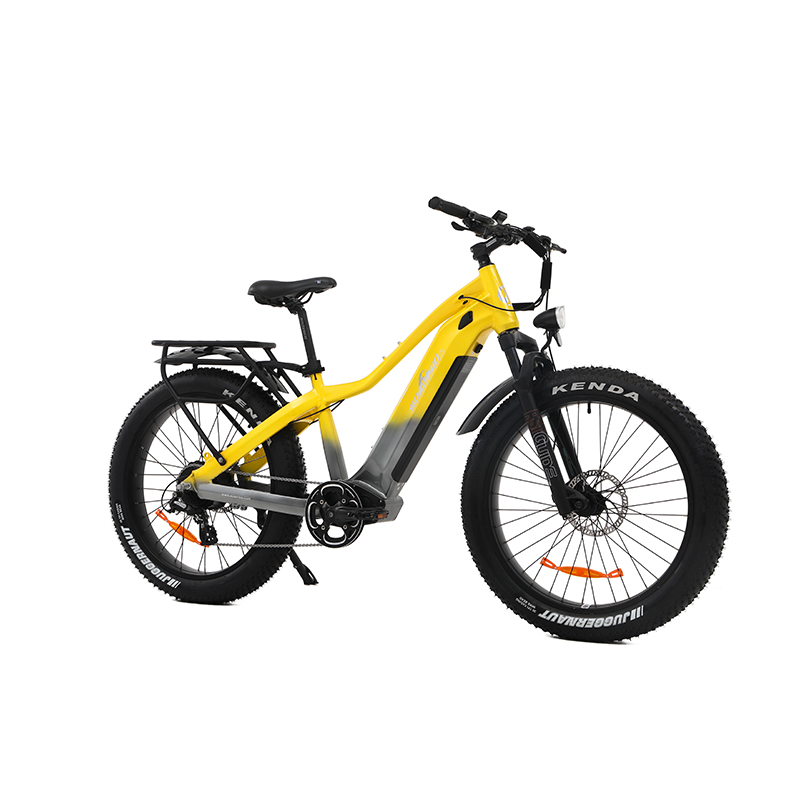 Long Range 48V 2000W Dual Motor Shimano Fat Tire Electric Mountain Bike With 20AH Battery S73-5 PowerGlide- Sobowo