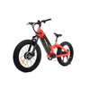 24 Inch Kenda All Terrain Fat Tire Dual Motor Mtb for Short Riders TwinTread - Sobowo