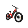 24 Inch Kenda All Terrain Fat Tire Dual Motor Mtb for Short Riders TwinTread - Sobowo