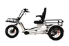 2000W 200Nm Torque 130Ah Semi-Recumbent Electric Tricycle - Sobowo Mike Cruiser 2024