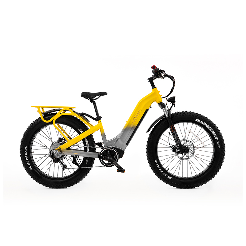 Sobowo fat commuter bike W06.jpg