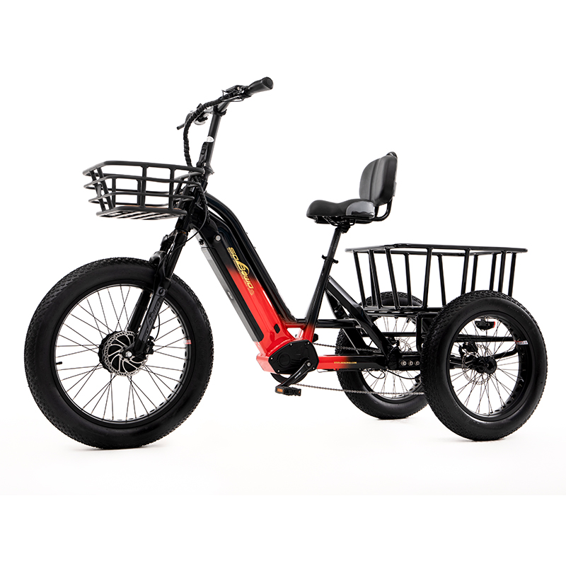 48v torque sensor 3 wheel cargo electric bike 1500w dual motor tricycle electric bike 24 inch kenda etrike