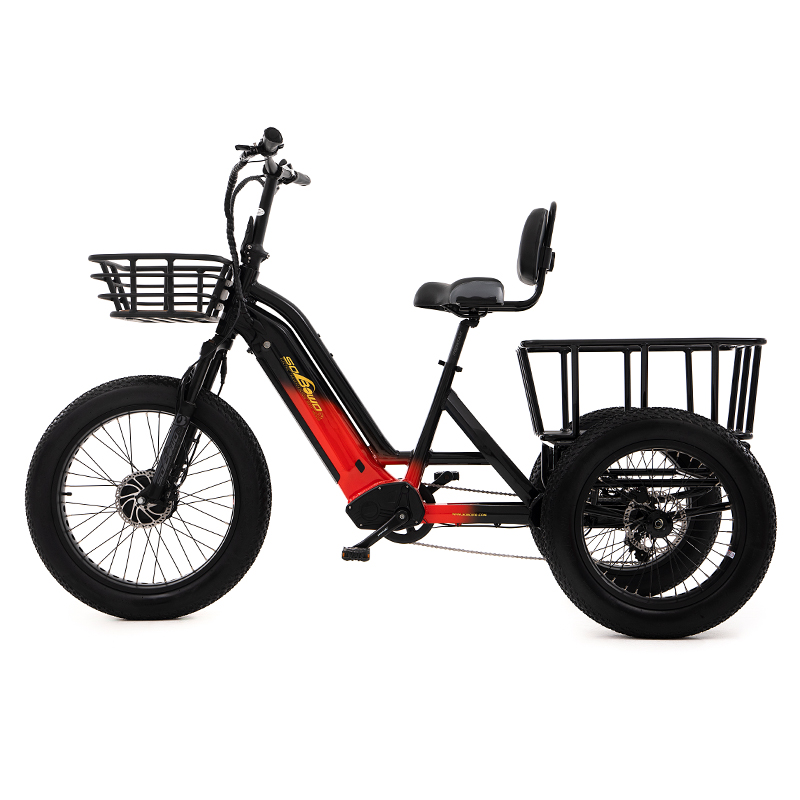 48v torque sensor 3 wheel cargo electric bike 1500w dual motor tricycle electric bike 24 inch kenda etrike