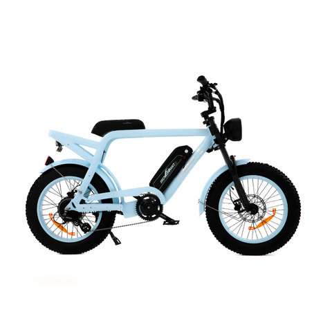 20 Inch 500w Retro Fat Tire Electric Bike for Sale