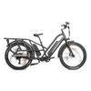 Model C19-1 Dual Batteries Long Range Fat Tire Electric Cargo E Bike 