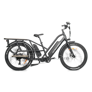 Model C19-1 Dual Batteries Long Range Fat Tire Electric Cargo E Bike 