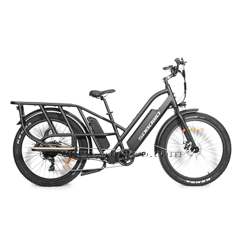 Model C19-1 Dual Batteries Long Range Fat Tire Electric Cargo E Bike 