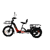 OEM AWD 2000W Torque Sensor Electric Dual Batteries 40ah Electric Tricycle