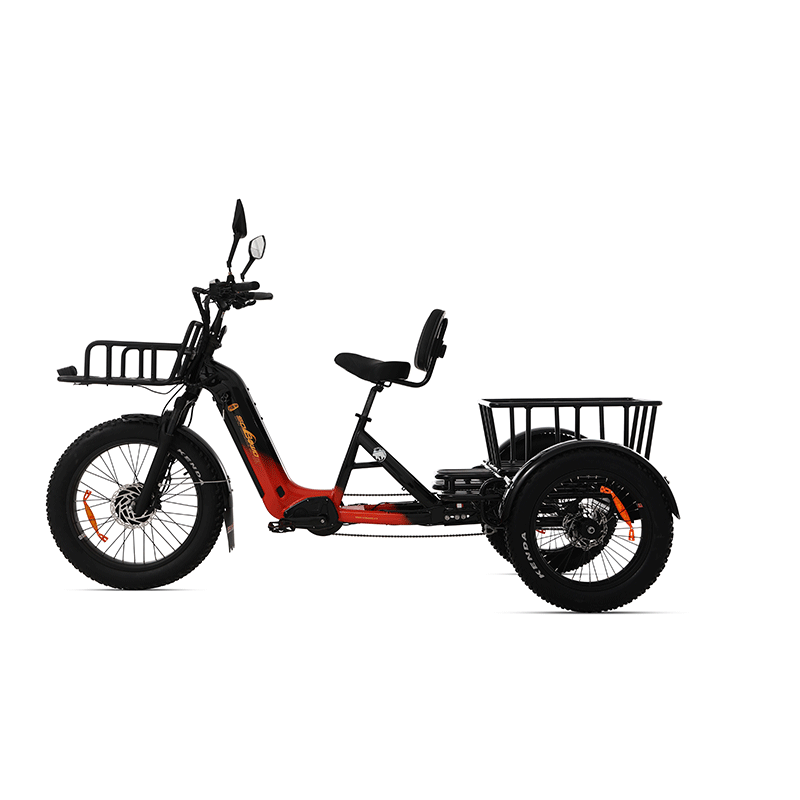 OEM AWD 2000W Torque Sensor Electric Dual Batteries 40ah Electric Tricycle