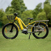 Best Electric Cargo Bike 2023 Model C19-3 - Sobowo