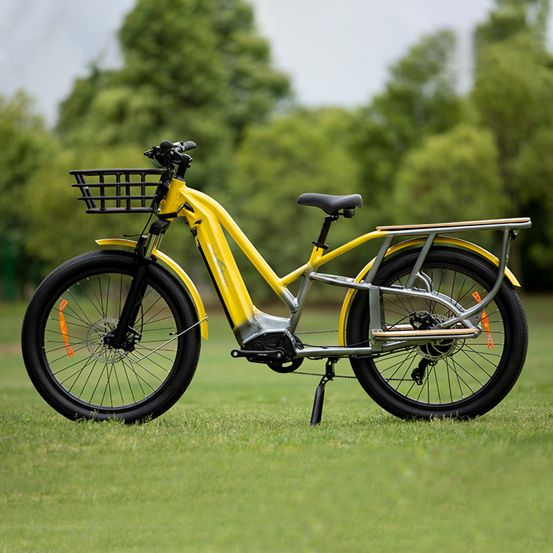 Best Electric Cargo Bike 2023 Model C19-3 - Sobowo