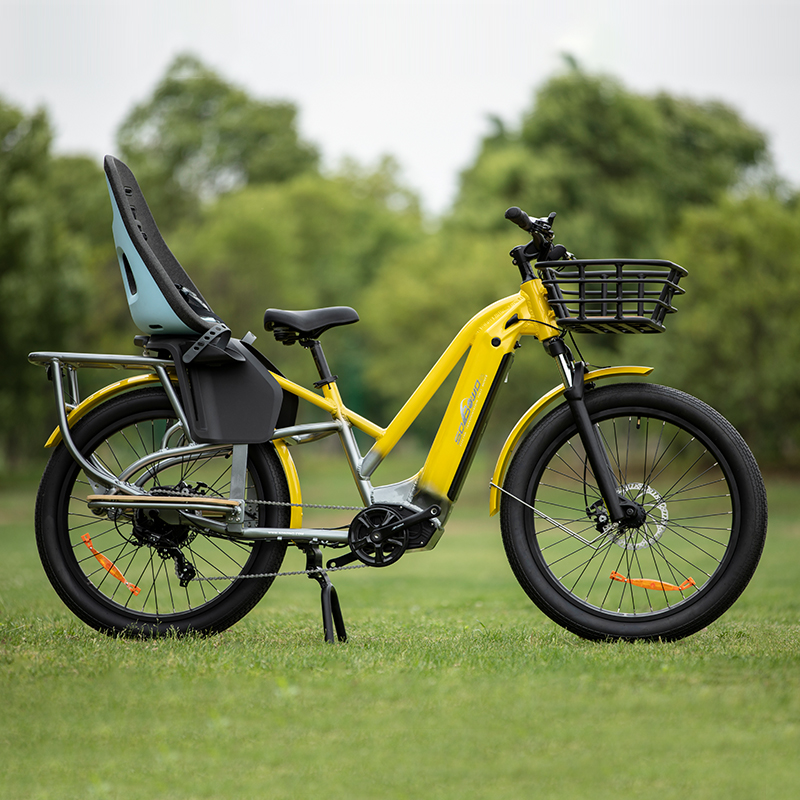 Best Electric Cargo Bike 2023 Model C19-3 - Sobowo