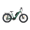 Step-thru 24" Fat Tires Mid Drive Comfort Cruiser Electric Bikes