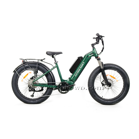 Step-thru 24" Fat Tires Mid Drive Comfort Cruiser Electric Bikes