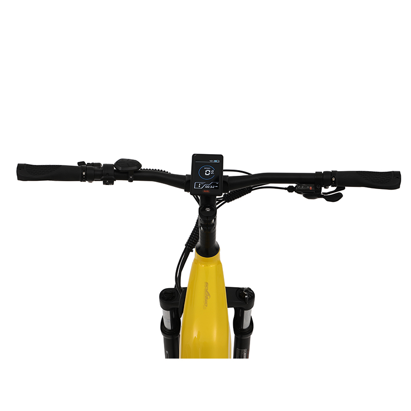 sobowo W06 mountain bike display