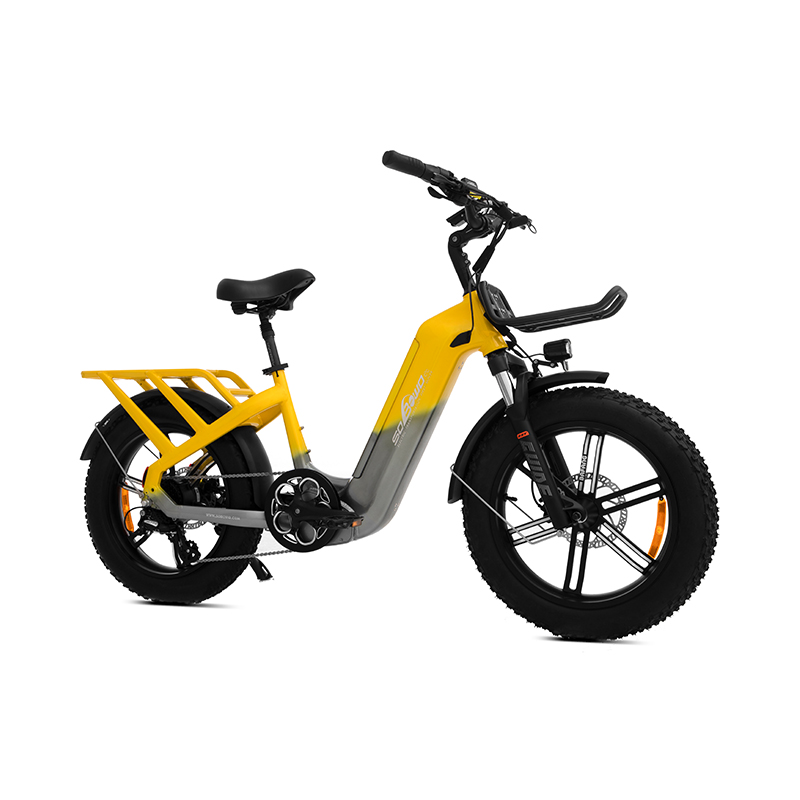 15" Frame Size Step Thru 750W Compact Electric Fat Bike for Small Riders W15 - Sobowo