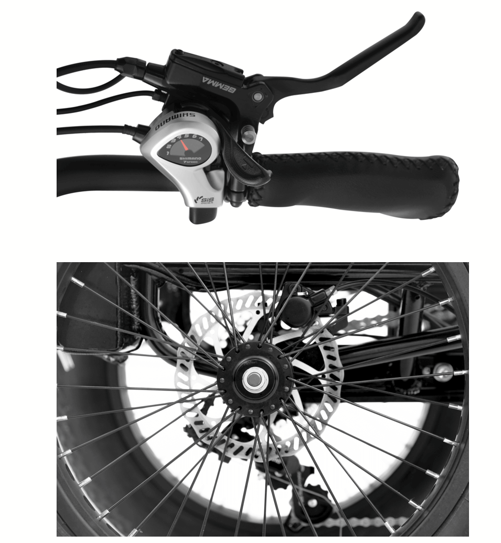 sobowo WN02 electric trike brake