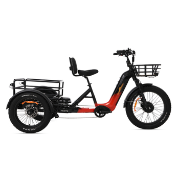 OEM AWD 2000W Torque Sensor Electric Dual Batteries 40ah Electric Tricycle