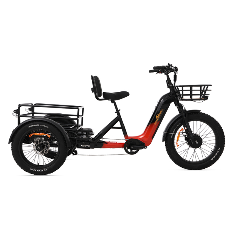 OEM AWD 2000W Torque Sensor Electric Dual Batteries 40ah Electric Tricycle