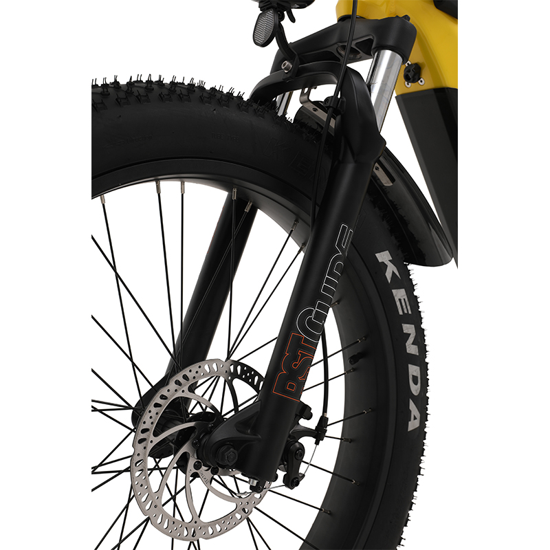 sobowo ebike fork