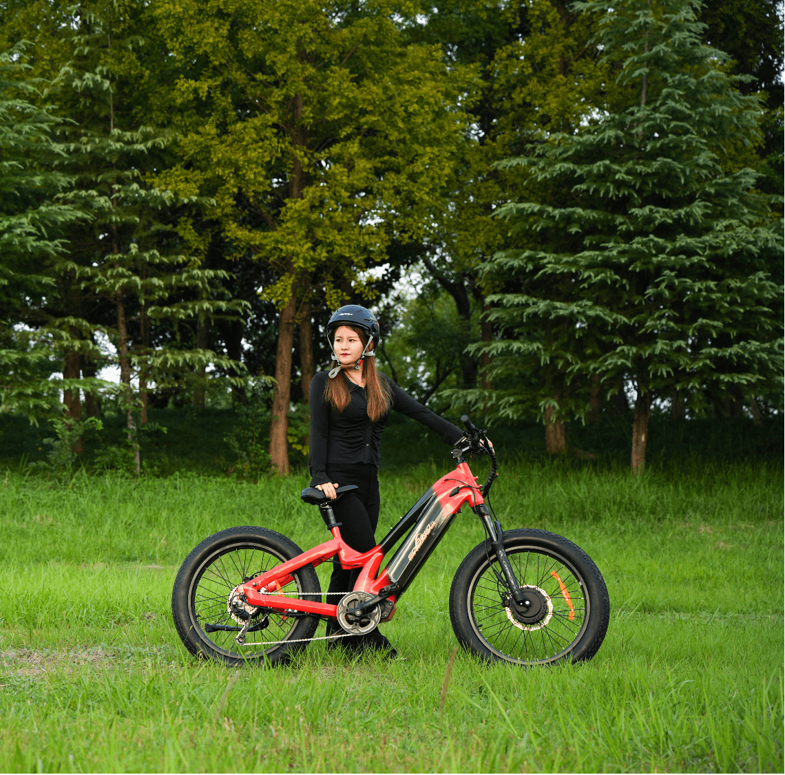 sobowo ebike twintread helen