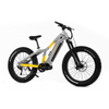The Best Mid Motor 1000 Watt Fat Tire Electric Bike for Adventuring TurboTread - Sobowo