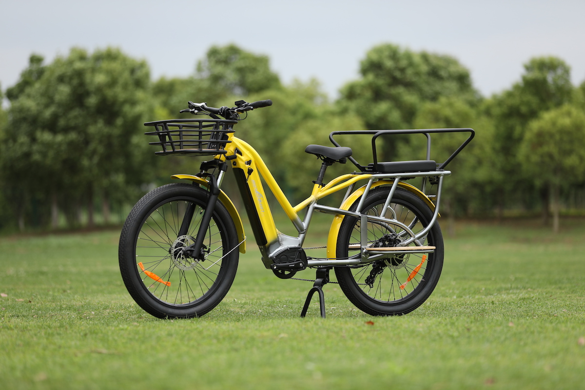 Differences of Sobowo 2-wheel Family Cargo Electric Bikes