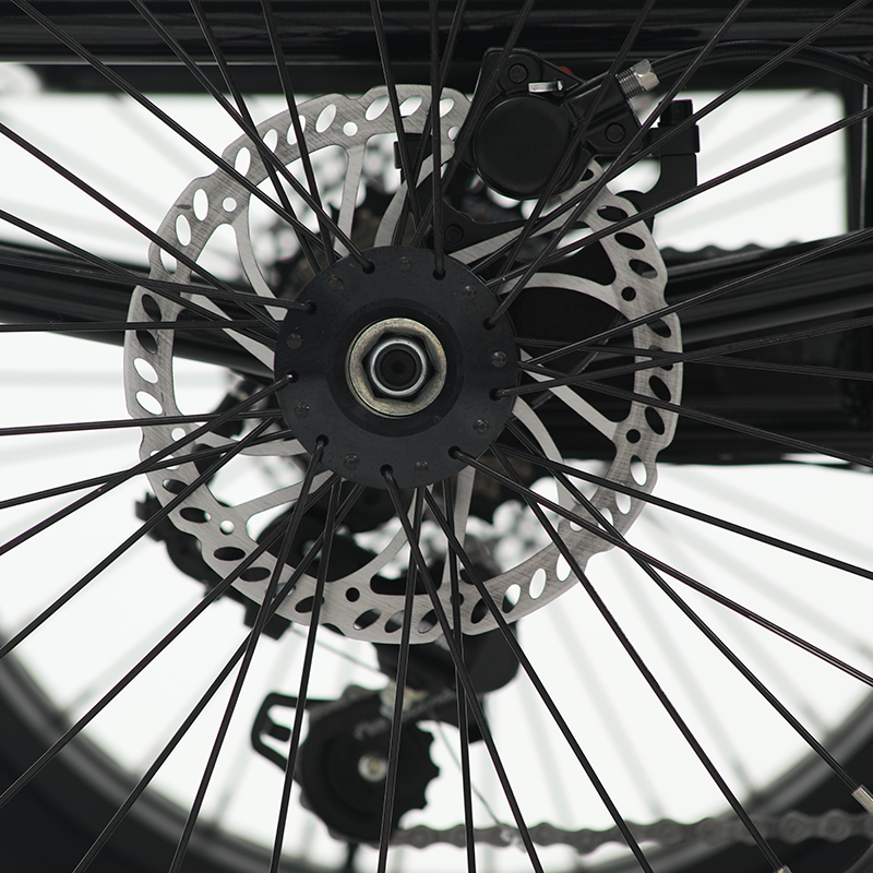 sobowo electric fat trike disc brake