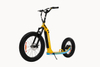 750W Fat Tire Electric Kickbike X6 - Sobowo