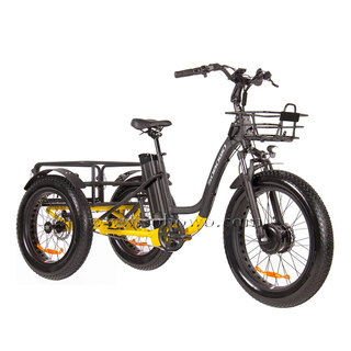 Front Drive 500W Fat Tire Electric Tricycle for Adults N4-F - Sobowo