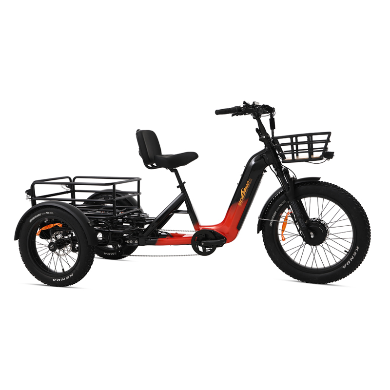 OEM AWD 2000W Torque Sensor Electric Dual Batteries 40ah Electric Tricycle