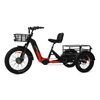 OEM AWD 2000W Torque Sensor Electric Dual Batteries 40ah Electric Tricycle