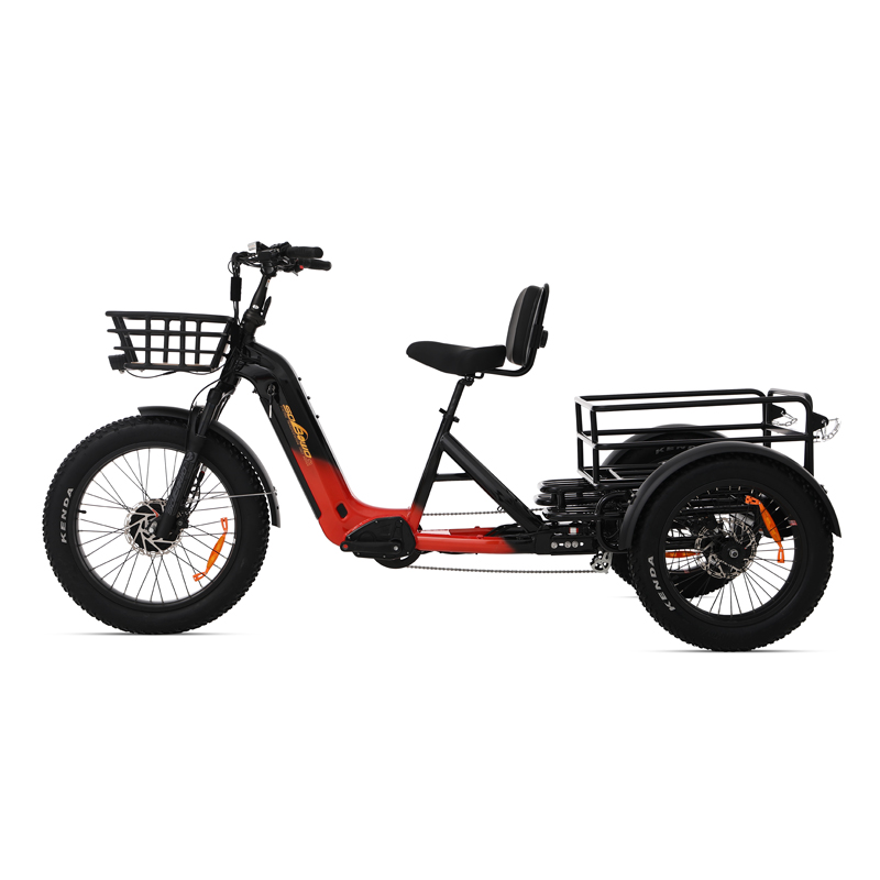 OEM AWD 2000W Torque Sensor Electric Dual Batteries 40ah Electric Tricycle