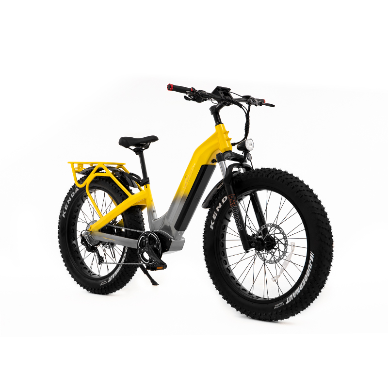 Step Thru All Terrain Dual Motor&Torque Sensor Shimano Fat Tire Women Electric Bike UrbanCruiser - Sobowo