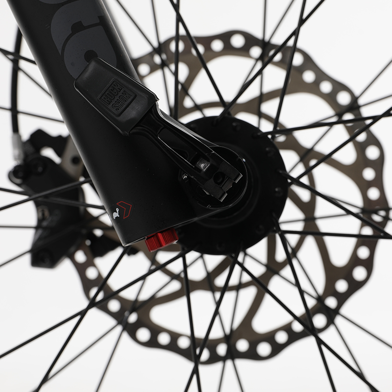 sobowo full suspension all terrain electric bike W05 2