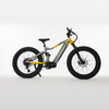Ultra 1000W Mid Drive Full Suspension Fat Tire Electric Bike W05 - Sobowo