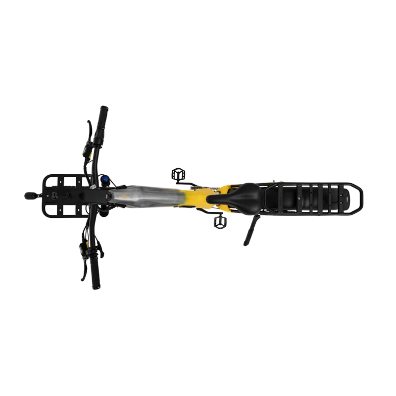 Full Suspension Electric Fat Bike with Bafang M620 1000W Motor and RG A510 Automatic Internal 5-Speed Hub - Sobowo Leopard