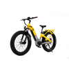 Step Thru All Terrain Dual Motor&Torque Sensor Shimano Fat Tire Women Electric Bike UrbanCruiser - Sobowo