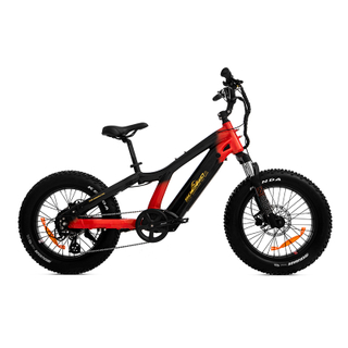 Compact Electric Bikes Ideal for Petite Riders, Youth, And Short Riders MiniTread - SOBOWO