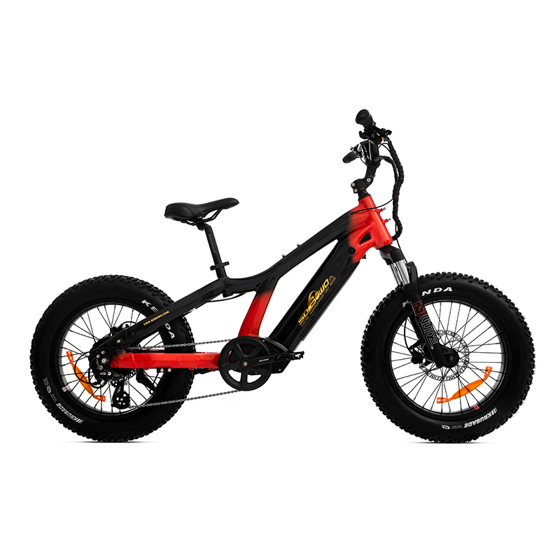 Compact Electric Bikes Ideal for Petite Riders, Youth, And Short Riders MiniTread - SOBOWO