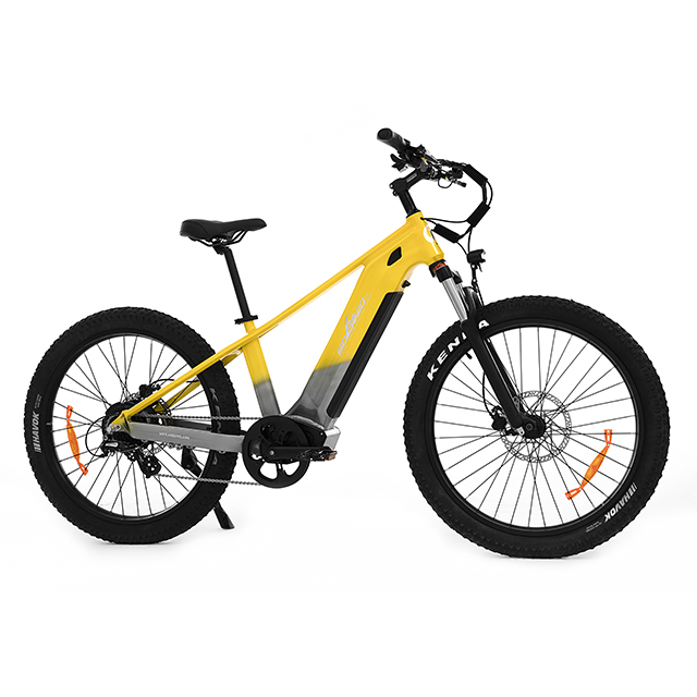 The Best 2000W Dual Motor & Torque Sensor All Terrain 26 Inch Electric Fat Bike S2-R NimbleTrek - Sobowo