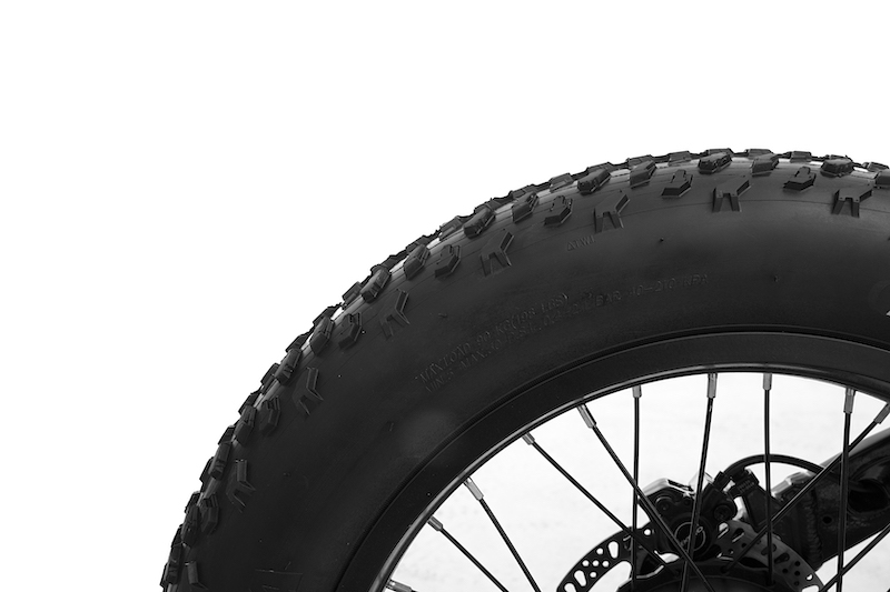 twintread 20 sobowo ebike fat tires