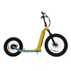 750W Fat Tire Electric Kickbike X6 - Sobowo